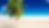 Palm Tree Beach Background Contact Us Page